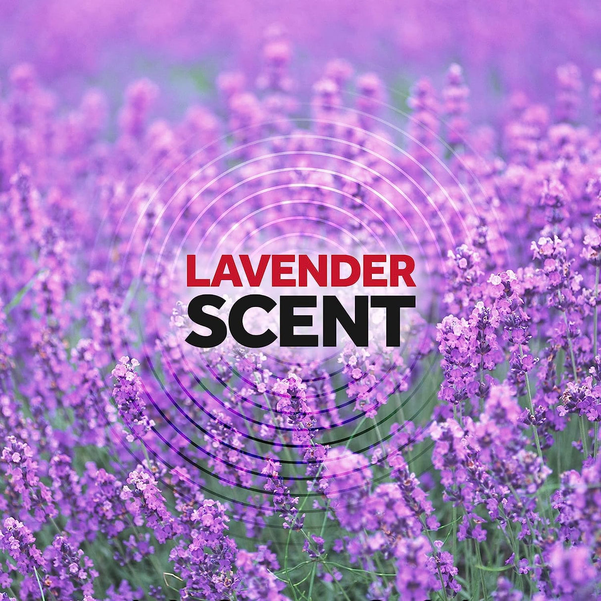 Raid Ant & Roach Killer Lavender 17.5 Ounce (Pack of 6)