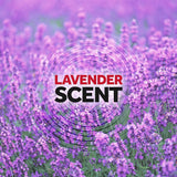 Raid Ant & Roach Killer Lavender 17.5 Ounce (Pack of 6)