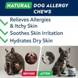 StrellaLab Dog Allergy Relief & Anti Itch Support Chews w/Omega 3: Real Ingredients, Real Taste! Skin & Coat Immune Supplement w/Fish Oil, Pumpkin & Enzymes — Developed by Experts - Made in USA -180Ct