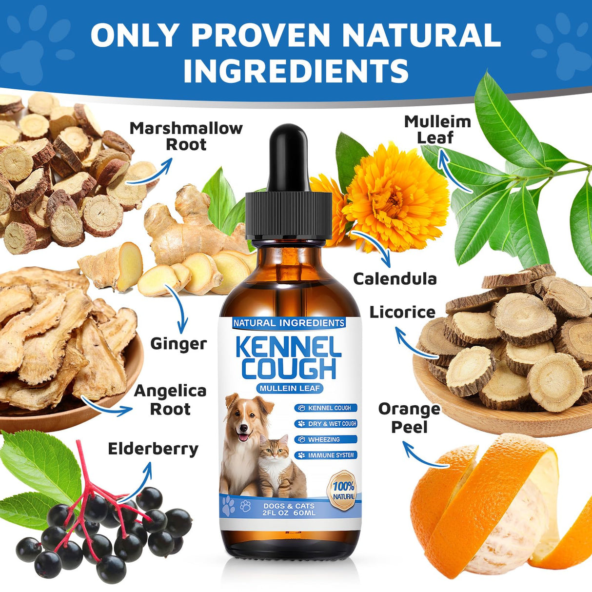 Kennel Cough Herbal Drops for Dogs & Cats,Dog Cough Treatment,Dog Cough Suppressant,Kennel Cough for Dogs,Coughing Treatment Liquid,Cough Treatment for Cats,Natural Cough Supplement for Cat