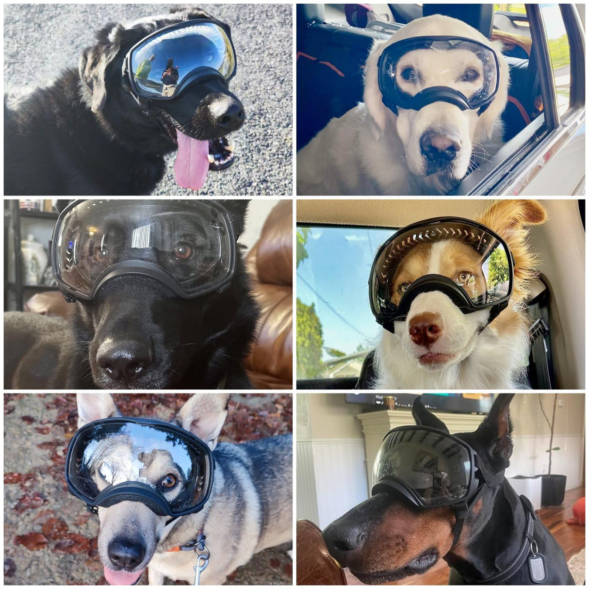 Enjoying Clear Dog Goggles for Large Dogs, Dog Sunglasses Medium Large Breed, Summer UV Pet Eye Protection, Winter Pet Snow Goggles, Transparent