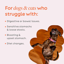 Load image into Gallery viewer, Diggin' Your Dog – Firm Up Pumpkin for Dogs &amp; Cats – Fiber Supplement with Pumpkin &amp; Apple Fiber for Cat &amp; Dog Digestive Support – Made in USA, 16 oz
