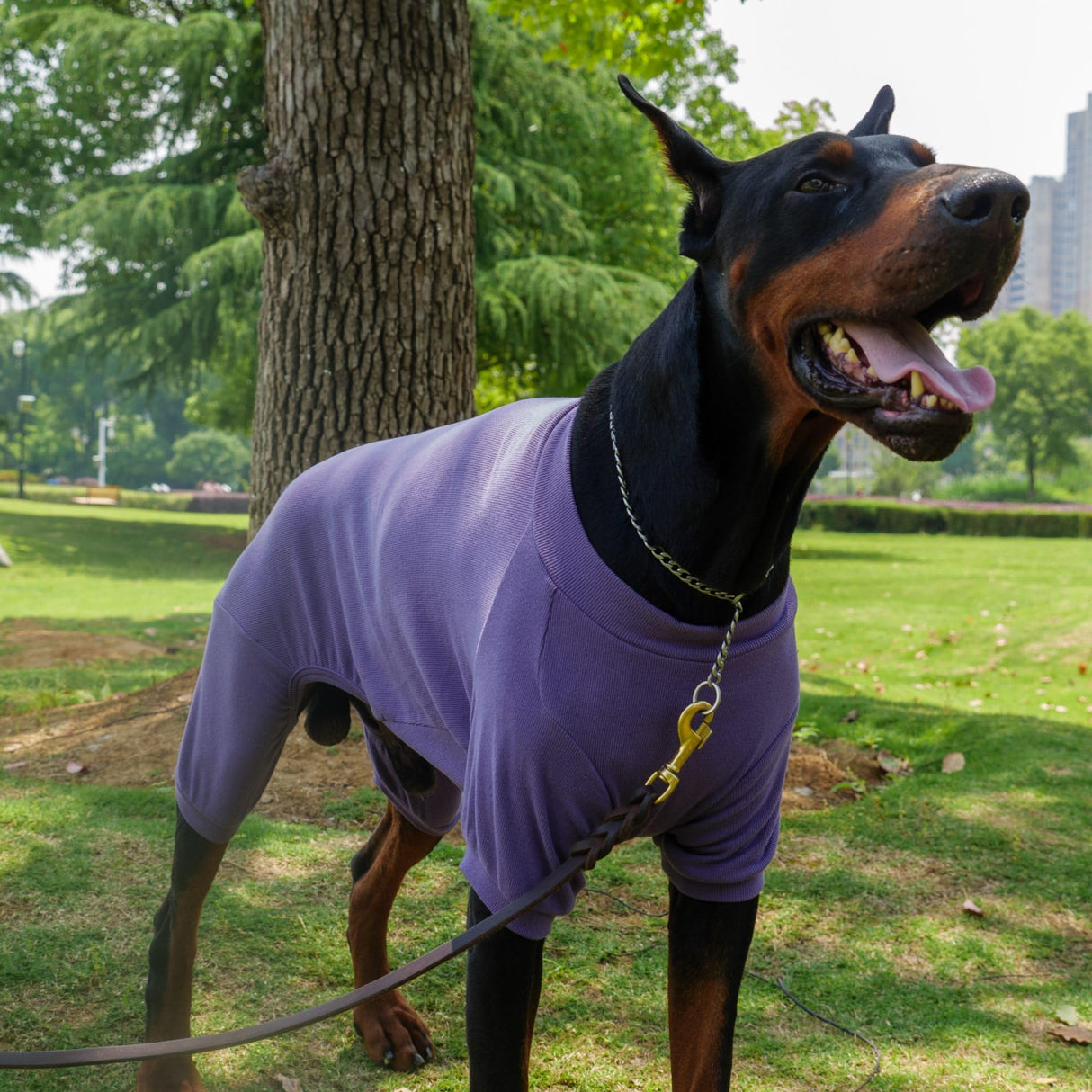 Lovelonglong Ribbed Dog Pajamas Cotton Knitted Dog Jumpsuits 4 Legged All Season Warm Pet Bodysuits for Large Medium Small Dogs Purple 3XL