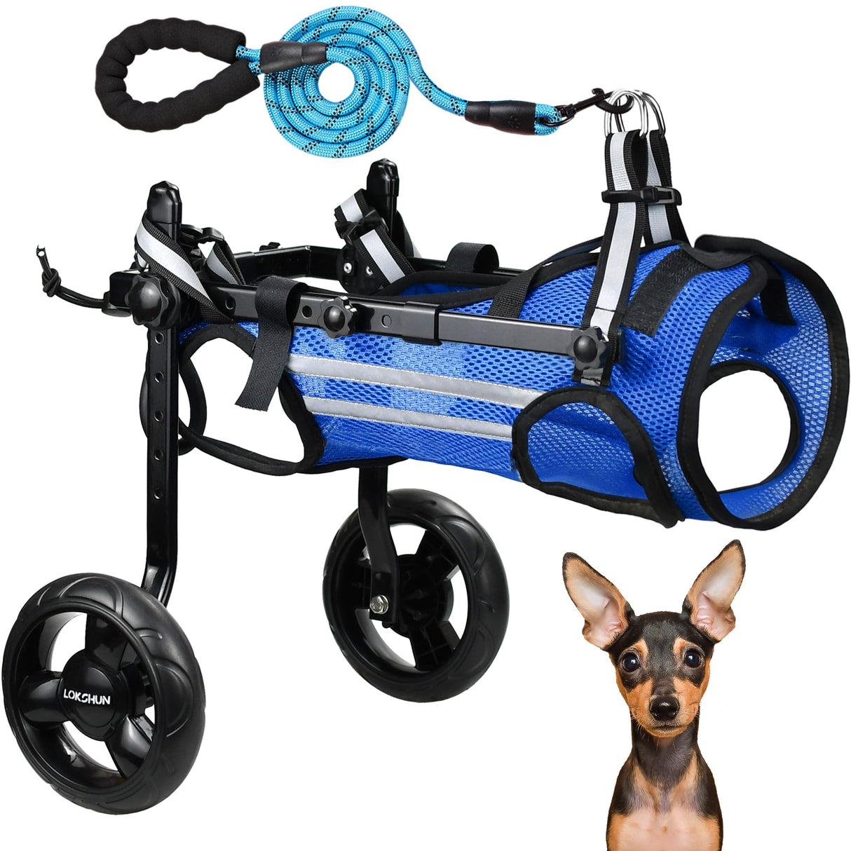 LOKSHUN Small Dog Wheelchair for Back Legs, Adjustable Rear Leg Mobility Support for Small Dogs up to 22 lbs, Lightweight Dog Mobility Cart with Harness, Heavy-Duty Wheels & 5ft Leash (Blue-XS).