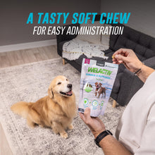 Load image into Gallery viewer, Nutramax Welactin Omega 3 Fish Oil for Dogs, Skin and Coat Health Supplement, Plus Immune and Overall Health, Premium Omega 3 Fatty Acids, Multivitamin For Dogs, Soft Chews, 60 Count
