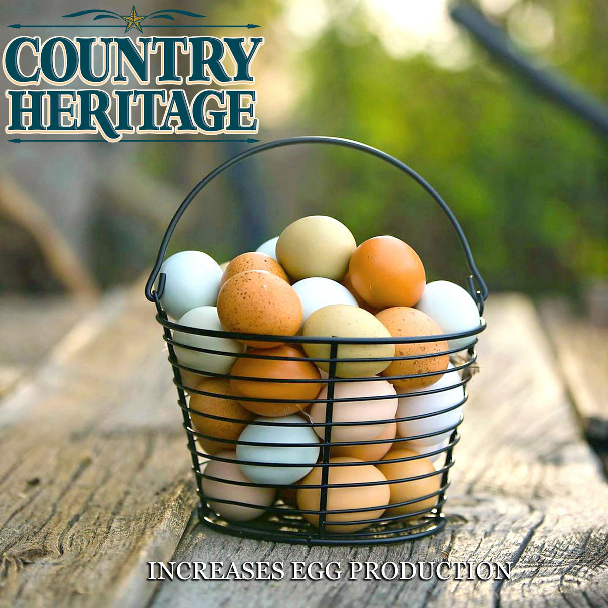 Country Heritage Hen Egg Layer Pellet 50lbs - 16% Protein Chicken Feed for Increased Egg Production & Strong Eggshells, High Protein
