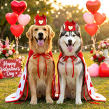 Hillban Valentine's Day Dog Costume Heart Crown and Cape Cover Set Dog Queen Valentines Outfit Heart Cape Hat for Small, Medium, Large Dogs and Pets(L)