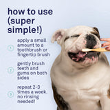 Petpost | Toothpaste for Dogs - Coconut Oil and Baking Soda Based Dental Gel That Naturally Eliminates Bad Breath - Dirt, Gunk, and Tooth Buildup Gone - Mint Flavor 4 oz.