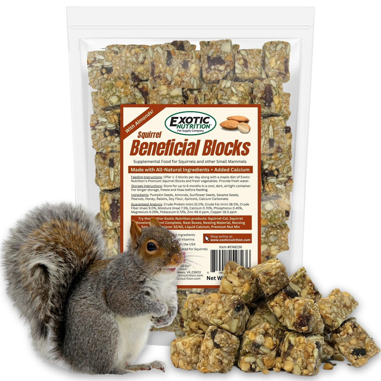 Exotic Nutrition Squirrel Beneficial Blocks - Healthy & Unique Supplemental Food with Nuts & Seeds, 20 oz