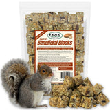 Exotic Nutrition Squirrel Beneficial Blocks - Healthy & Unique Supplemental Food with Nuts & Seeds, 20 oz