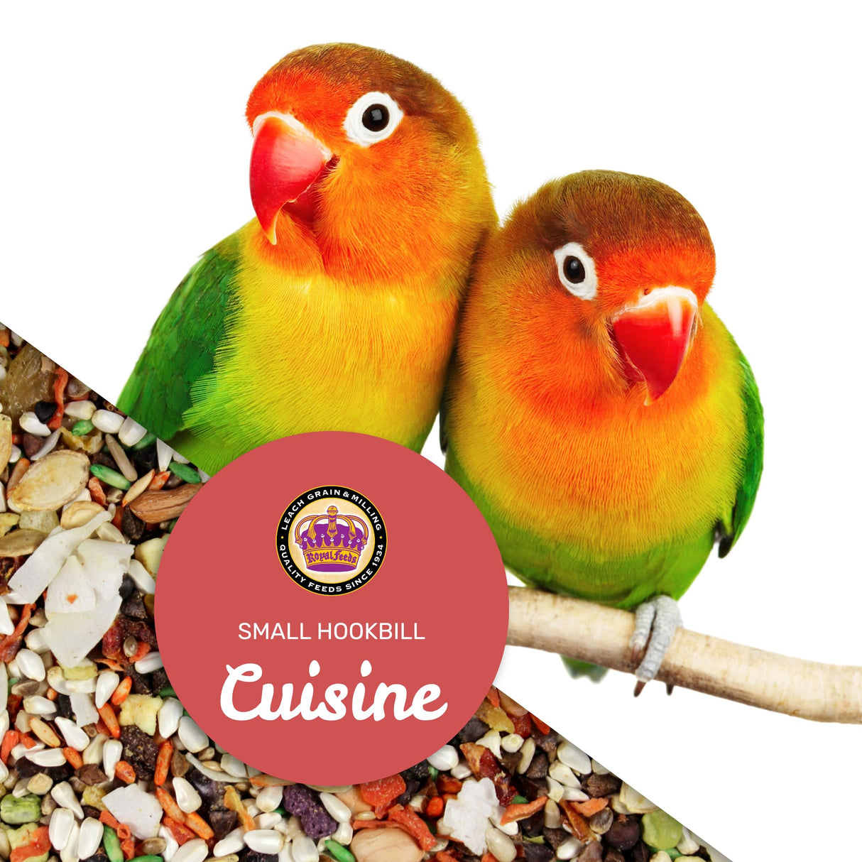 Small Hookbill Cuisine, 4 Lbs Premium Birdseeds for Parrot, Bird Food for Small Hookbill, Supports Daily Energy, Growth & Digestive Health, Nutrient-Rich Parrot Bird Seed for Outside Feeders