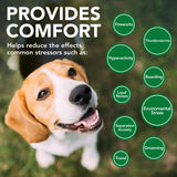 Vet's Best Comfort Calm Calming Soft Chews Dog Supplements - Dog Calming Aid Supports Dog's Balanced Behavior - Promotes Relaxation - 90 Day Supply