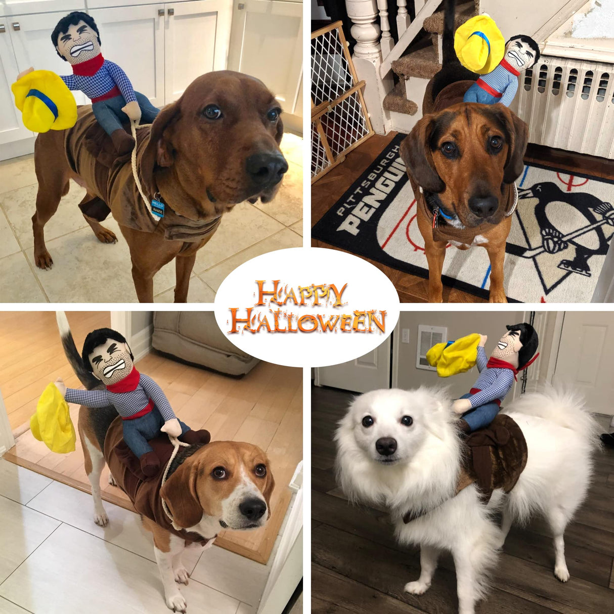 DELIFUR Dog Halloween Costume Funny Dog Cowboy Riding Costume Pet Costume Cat Suit Cowboy Rider Style for Small Medium Large Dogs (Cowboy, Medium)