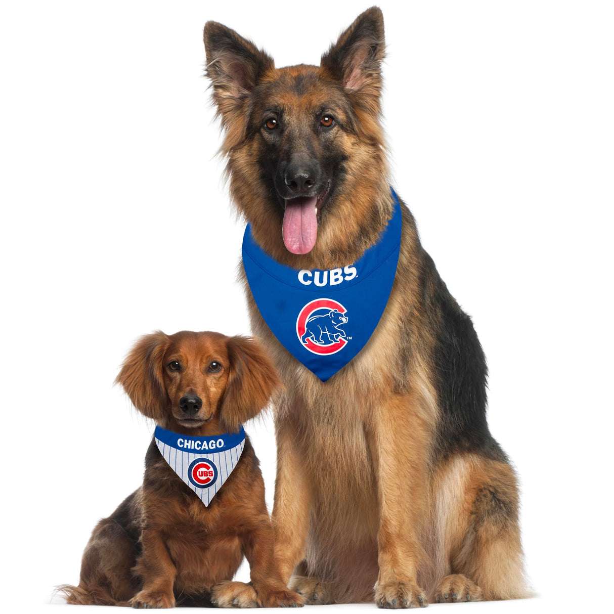 Pets First MLB Chicago Cubs Reversible Bandana Size XX-Large for Dogs & Cats. 2 Sided Sports Bandana,Premium Embroidery Team Logo, All MLB Teams Available