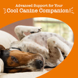 Zesty Paws Calming Chews for Dogs - for Everyday Stress, Relaxation, Composure, and Separation Turkey 90 Count