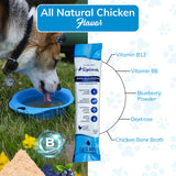 Replenish Dog Recovery Water Supplement – Pedialyte for Dogs Hydration Drink & Water Additive - Electrolytes for Dogs Hydration Supplement – 10 Packets Count