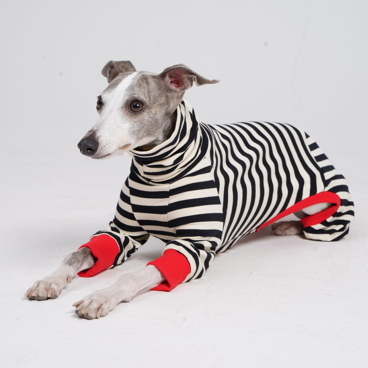 ESCCBOO Italian Greyhound Onesie Clothes, Turtleneck Striped Shirt for Whippets Puppy, Light and Thin Shirt for Spring and Summer (Small)