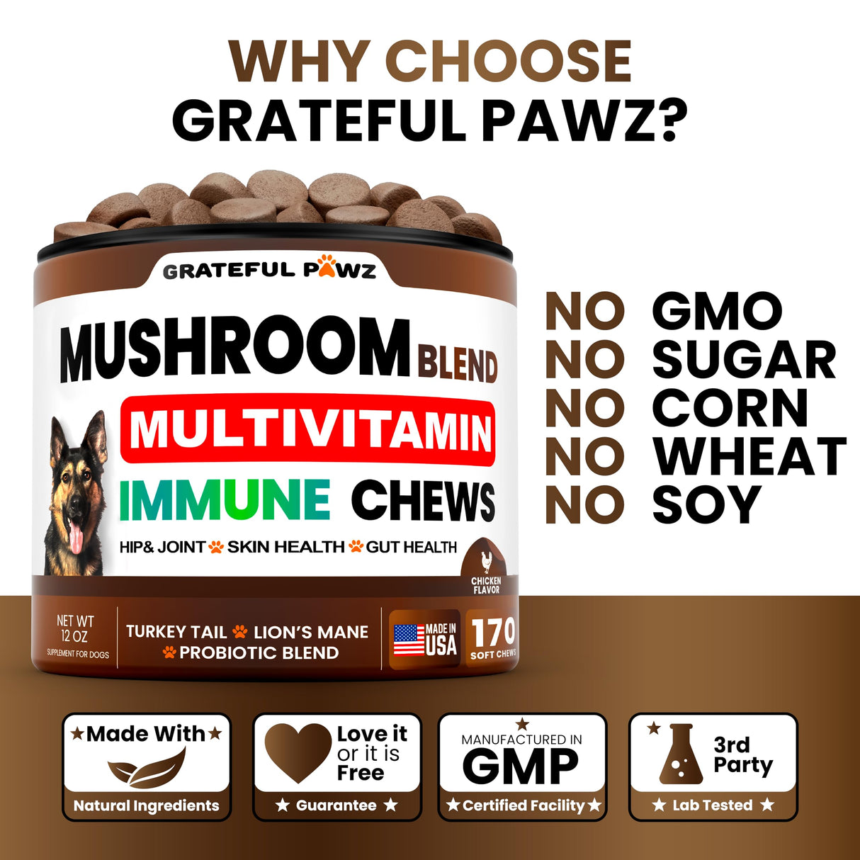 Turkey Tail Mushroom Supplement for Dogs - 170 Chews - Mushrooms for Dogs - Reishi, Lion’s Mane, Glucosamine Multivitamin - Immune Booster, Gut, Hip & Joint Health Support Vitamins, Energy & Skin