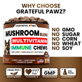 Turkey Tail Mushroom Supplement for Dogs - 170 Chews - Mushrooms for Dogs - Reishi, Lion’s Mane, Glucosamine Multivitamin - Immune Booster, Gut, Hip & Joint Health Support Vitamins, Energy & Skin