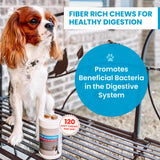 PawMedica Dog Anal Gland Chews to Stop Scoot for Dogs - Anal Gland Dog Constipation Relief - Recommended Dog AnalGland Support Chews Fiber - Fiber Supplement for Dogs (120 Dog Pumpkin Chews)
