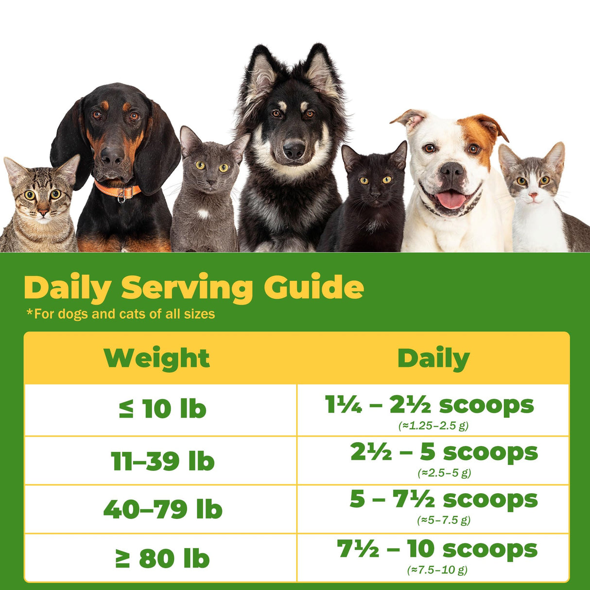 Dog Cough Powder–Relieves Cough, wheezing, tracheal Collapse, and Throat Irritation–Respiratory Health–Immune Support for Dogs in Kennel or Seasonal Challenges–All-Natural Herbal + Vitamin Blend–90g