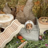 Niteangel Training Litter Potty Sand - Hamster Sand Bath for Syrian Dwarf Hamsters Gerbils Mice Lemming Degus or Other Small-Sized Pets (1.4 L x 2 - Purple Label)