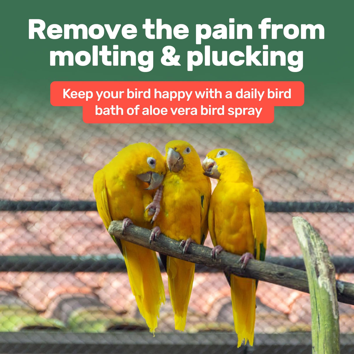 Samorillo Aloe Vera Bird Spray - 8.5oz/251mL - [Made in USA] - Non-Toxic Bird Bath Relieves Dry/Itchy Skin & Softens Feathers - Safe & Effective for All Birds - Promote Healthy Plumage - Odor-Free