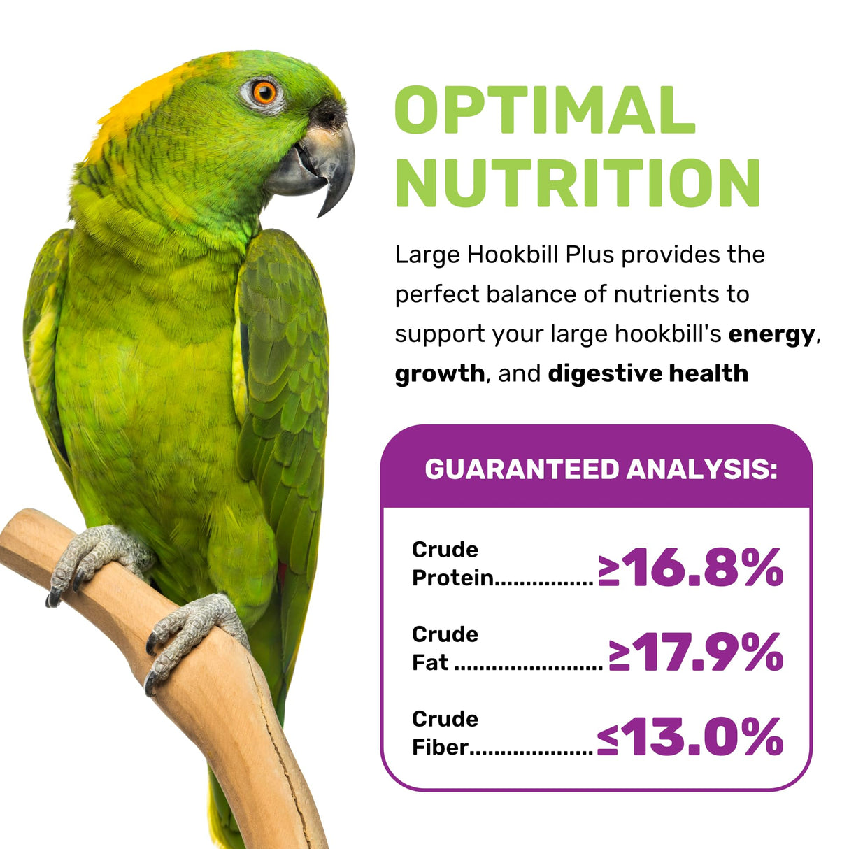 Large Hookbill Plus 5 Lbs, Bird Food for Large Hookbill, Premium Bird Seeds, Supports Growth Energy and Digestive Health, Nutrient-Rich Parrot Birdseeds for Complete & Healthy Balanced Diet