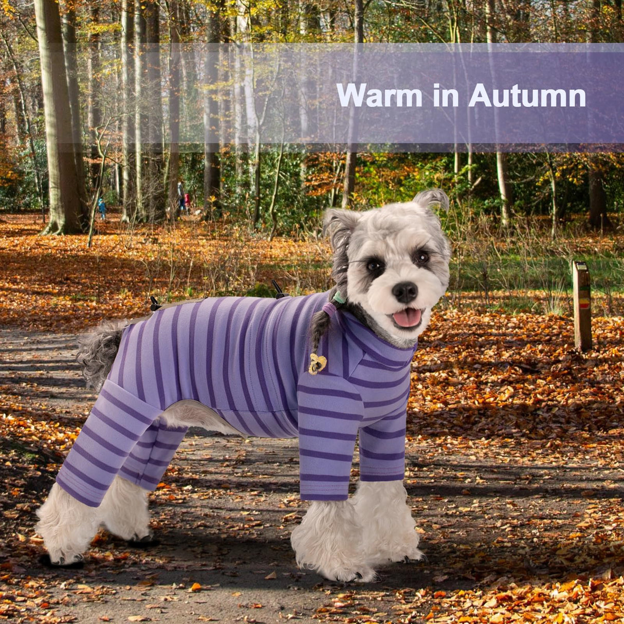 Winter Coat for Dogs - Warm Dralon Cold Weather Coat, Soft Fleece Jacket, Striped Pajamas with Drawstrings, Long Sleeves Jumpsuit Anti Hair Shedding, Reflective Onesie Clothes for Small Dogs