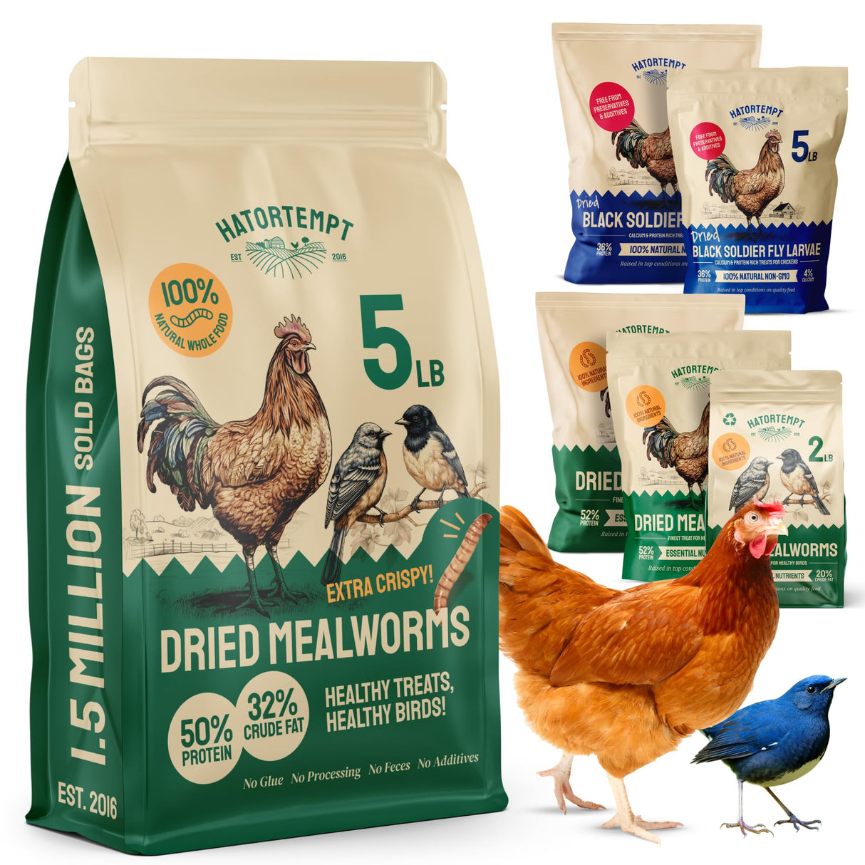 Hatortempt Dried Mealworms - Non-GMO & Organic - High-Protein Mealworms for Wild Bird Food, Ducks & Chickens (5lb)