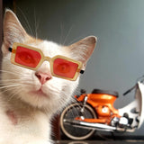 BAIRUYAO 5PCS Cat Dog Sunglasses Classic Retro Pet Glasses，UV Protection Trendy Cute Hip-hop Funny Pet Glasses for Cosplay Costume Photos Props Road Trip Christmas