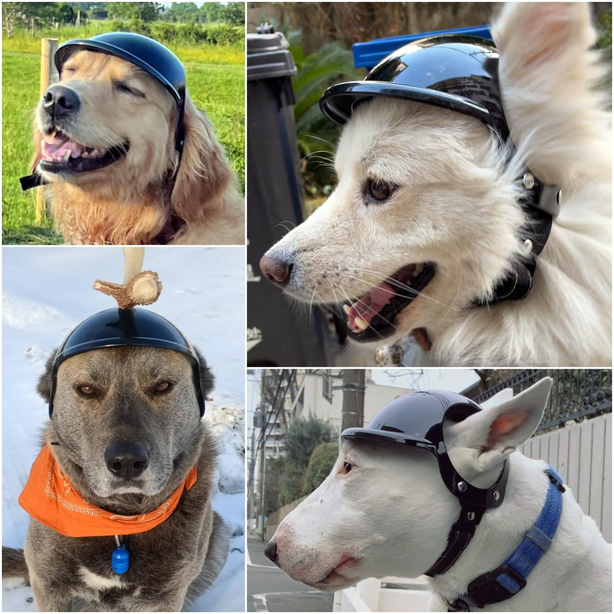 Namsan Large Dog Helmet, Dog Helmets for Large Dogs, Doggie Motorcycle Helmets with Ear Holes, Outdoor Doggy Bike Helmet for Head Protection, Adjustable, Black L