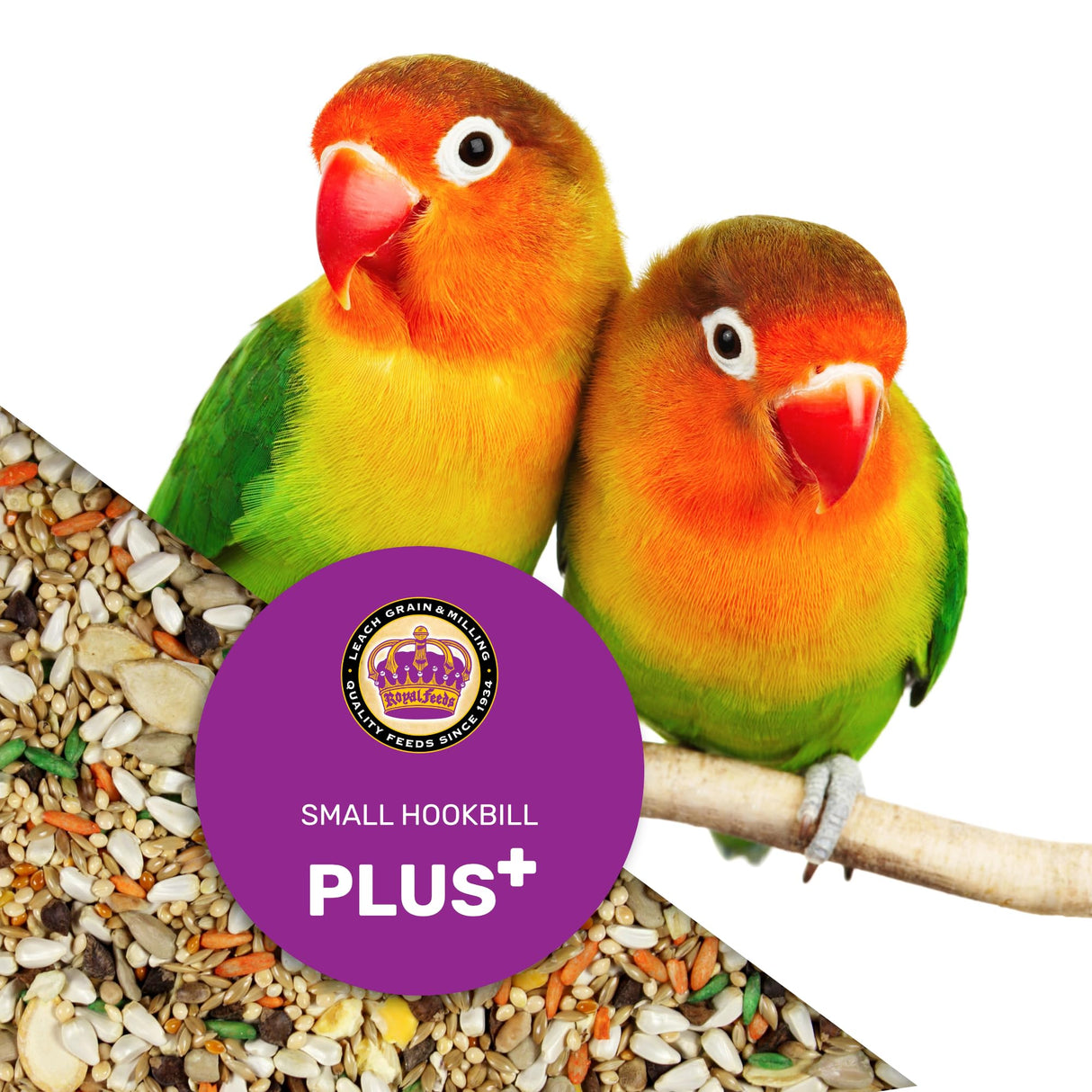 Small Hookbill Plus 5 Lbs, Bird Food for Small Hookbill, Premium Bird Seeds, Supports Growth Energy and Digestive Health, Nutrient-Rich Parrot Birdseeds with Vitamins & Minerals, Healthy Balanced Diet