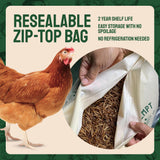 Hatortempt Bulk Dried Mealworms 10 lbs – Premium Non-GMO Dried Mealworms for Chickens – High Protein Organic Chicken Feed - Meal Worms for Birds & Chicken Treats for Laying Hens
