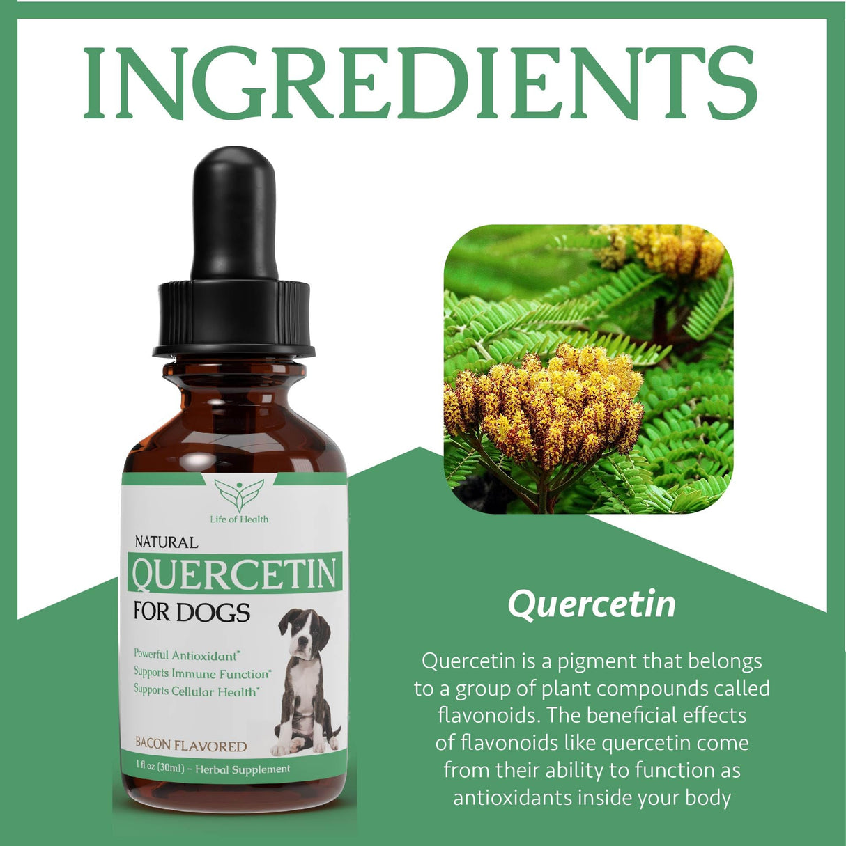Quercetin for Dogs - Quercetin for Dogs Allergies - Supports Immune, Respiratory, Skin Health & More - Dog Allergy Support - Dog Allergy Relief - 1 fl oz