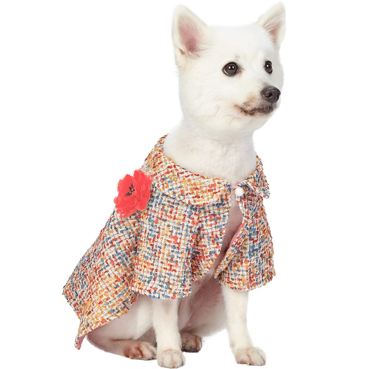 Blueberry Pet Multicolor Warm Tone All-Weather Dog Poncho Cape with Detachable Flower, Back Length 16", Pack of 1 Clothes for Dogs