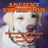 Turmeric Golden Paste for Pets 7 OZ (200grams)
