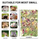 YTSKJ Rabbit Toys 20 Pack Bunny Toys Bunny Chew Toy Guinea Pig Treats Timothy Hay Toy Chips with Herbal Flowers Timothy Hay Grass Hamster Snacks Chinchillas Gerbils for Small Animals Teeth