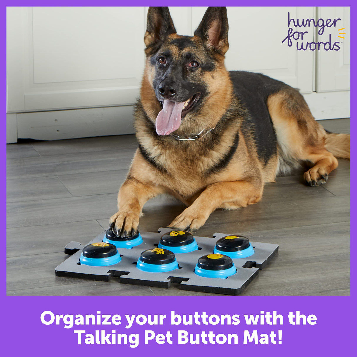 Hunger for Words Talking Pet Button Mat - 1 Piece Single, Pet Supplies, Dog Training and Obedience Games