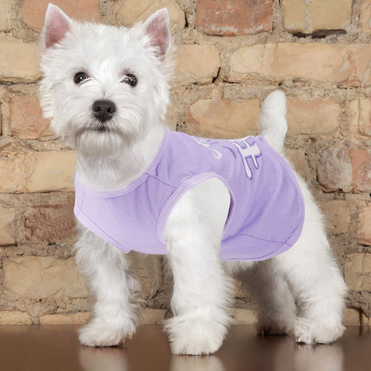 9 Pieces Printed Pet Shirts Cute Dog T Shirts Summer Puppy T Shirt Soft Breathable Pet Sweatshirt for Small Medium Dogs Puppy Cats(Watermelon Pattern,M)