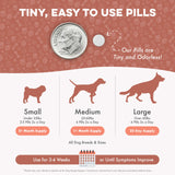 Dog Mange Support and Natural Dog Itching Relief for Canine Coat Issues & Puppy Mange, Soothes Dry Itchy Scaly Skin, Welts & Scabs - Helps Restore Fur Loss (Easy Use 400 Tiny Pills)