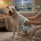 LovinPet 3-Layer Dog Belly Warmer Calming Wrap, Adjustable Abdominal Protector for Medium and Large Dogs, Anti-Chafe Moisture Barrier, Memory-Foam Core + Mesh Lining, Dinosaur Print,White