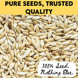 Unida Alpiste Canary Seed | 100% Pure, Natural & Non-GMO Bird Food for Canaries, Finches, Budgies & Parakeets | Double Cleaned Bird Seed, 5 lbs
