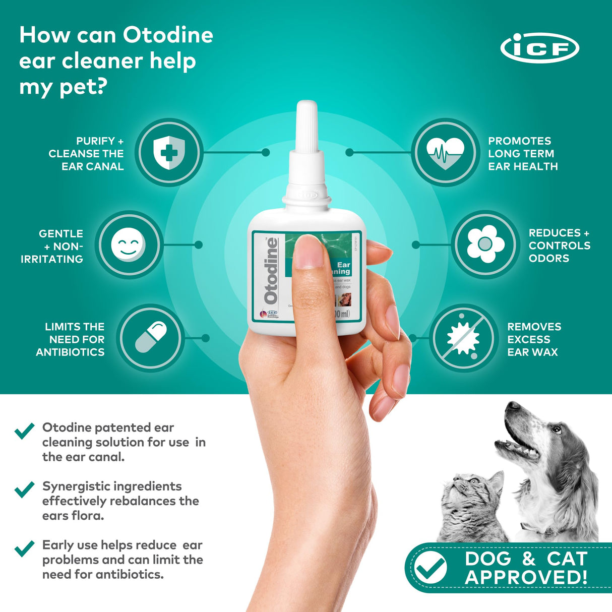 ICF Otodine Dog Ear Cleaner Solution - Veterinary Formula for Itchy Ears, Head Shaking & Scratching - Tris-EDTA Flush for Wax, Debris & Odor - Gentle & Safe for Cats & Puppies - 100ml