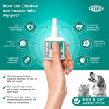 ICF Otodine Dog Ear Cleaner Solution - Veterinary Formula for Itchy Ears, Head Shaking & Scratching - Tris-EDTA Flush for Wax, Debris & Odor - Gentle & Safe for Cats & Puppies - 100ml