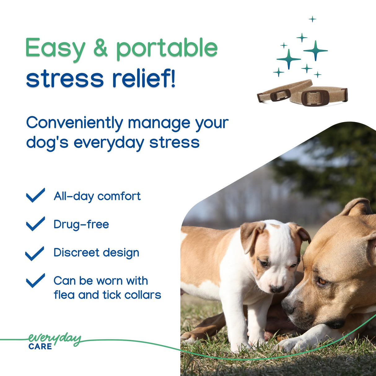 Virbac ZENIDOG Long Acting Dog Calming Pheromone Collar for Stress Relief, Medium/Large Dog - Lasts up to 3 Months