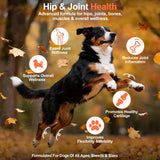 GAIAKINGCO Hip and Joint Supplement Powder for Dogs Glucosamine for Dogs, Dog Arthritis Vitamins for Hip and Joint Pain Relief Contains Glucosamine Chondroitin MSM Vitamin E for All Breeds and Sizes