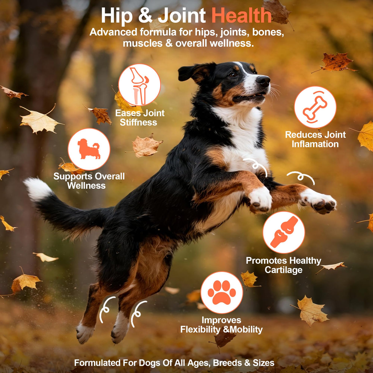 GAIAKINGCO Hip and Joint Supplement Powder for Dogs Glucosamine for Dogs, Dog Arthritis Vitamins for Hip and Joint Pain Relief Contains Glucosamine Chondroitin MSM Vitamin E for All Breeds and Sizes