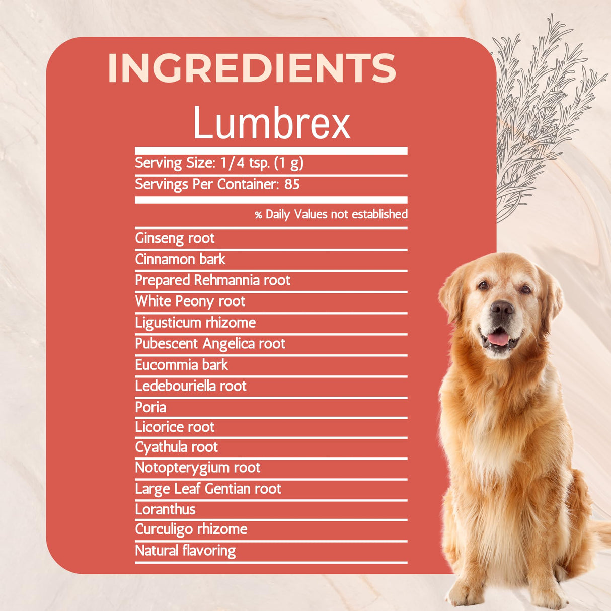 Lumbrex Joint Pain and Stiffness Relief for Dogs by Gold Standard Herbs, All Natural Angelica Root and Loranthus, 85 gram powder, White