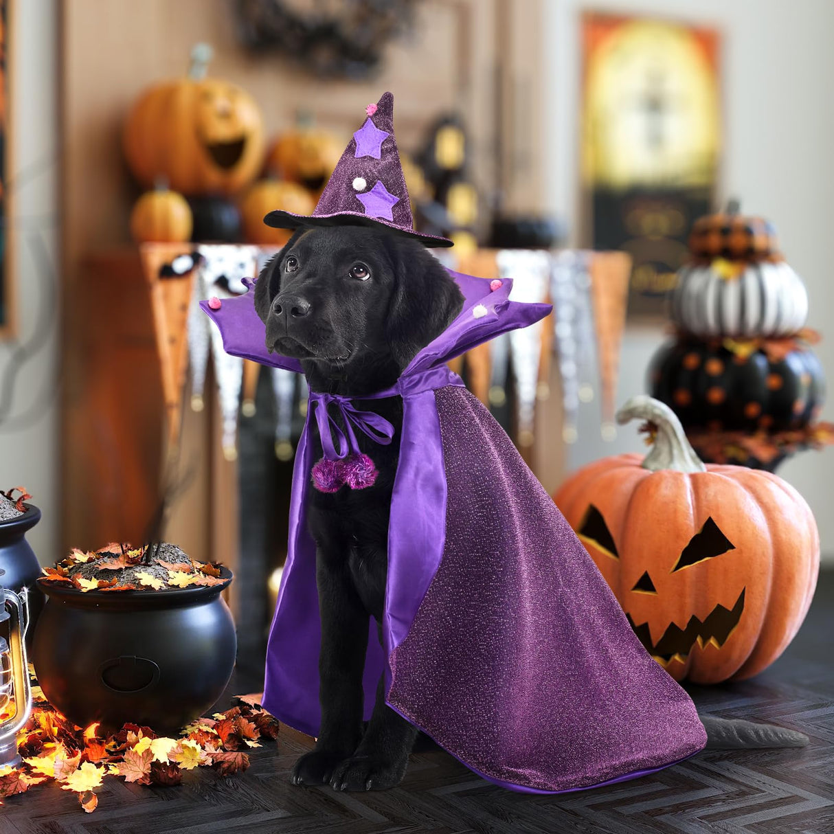 Vehomy Halloween Dog Costume Dog Witch Cape Witch Hat Set Pet Wizard Cloak Vampire Devil Outfit Puppy Cat Halloween Cloak Devil Clothes Outfit Apparel Cosplay for Small Medium Large Dogs 2Pcs XL